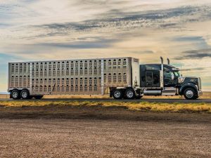 Kenworth W990